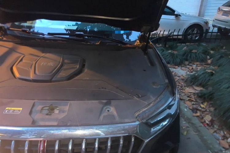 Used Hongqi HS5 2019 2.0T Smart Connect Flagship Edition Engine Bay Left