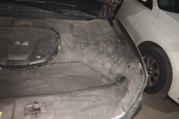 Used Hongqi HS5 2019 2.0T Smart Connect Flagship Edition Engine Bay Left