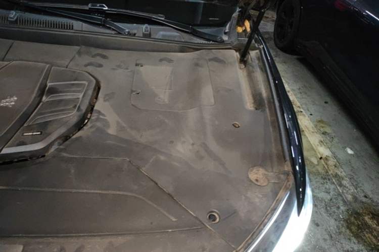 Used Hongqi HS5 2019 2.0T Smart Connect Flagship All-Wheel-Drive Version Engine Bay Left