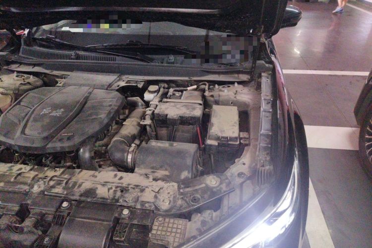 Used Hongqi HS5 2019 2.0T Smart Connect Flagship All-Wheel-Drive Version Engine Bay Left