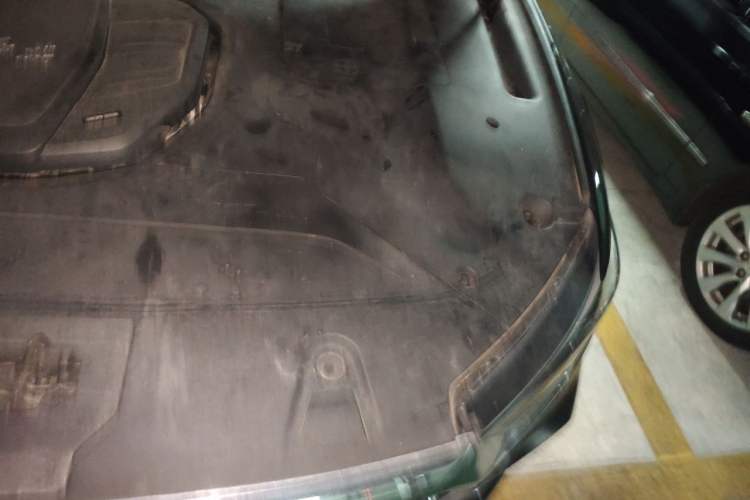 Used Hongqi HS5 2019 2.0T Smart Connect Flagship Edition Engine Bay Left