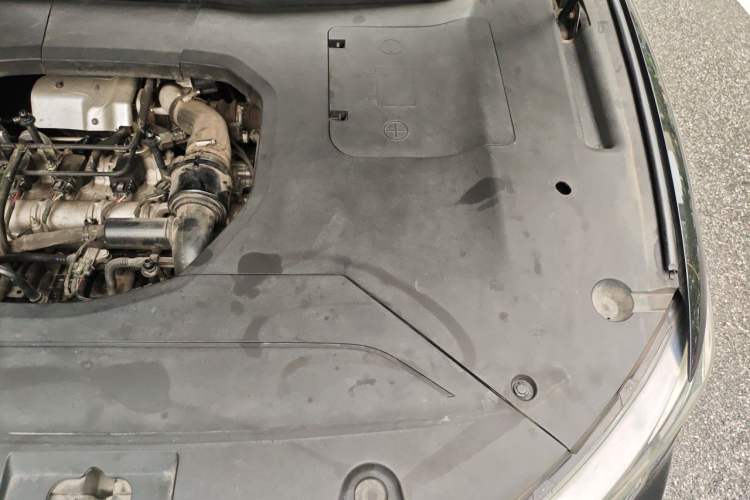 Used Hongqi HS5 2019 2.0T Smart Connect Flagship All-Wheel-Drive Version Engine Bay Left