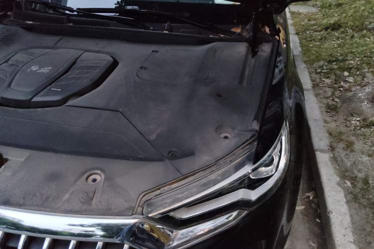 Used Hongqi HS5 2019 2.0T Smart Connect Flagship Edition Engine Bay Left