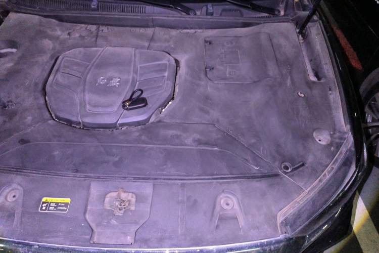 Used Hongqi HS5 2019 2.0T Smart Connect Flagship Edition Engine Bay Left