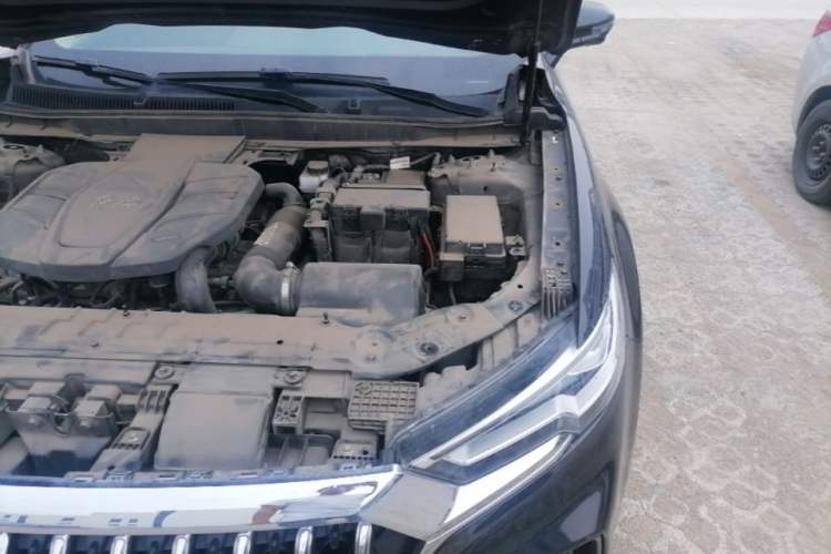 Used Hongqi HS5 2019 2.0T Smart Connect Flagship All-Wheel-Drive Version Engine Bay Left