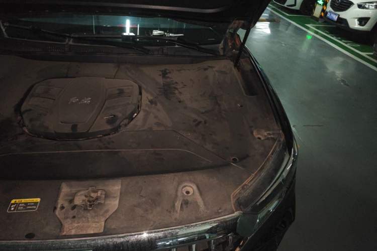 Used Hongqi HS5 2019 2.0T Smart Connect Flagship All-Wheel-Drive Version Engine Bay Left