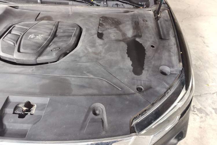 Used Hongqi HS5 2019 2.0T Smart Connect Flagship All-Wheel-Drive Version Engine Bay Left
