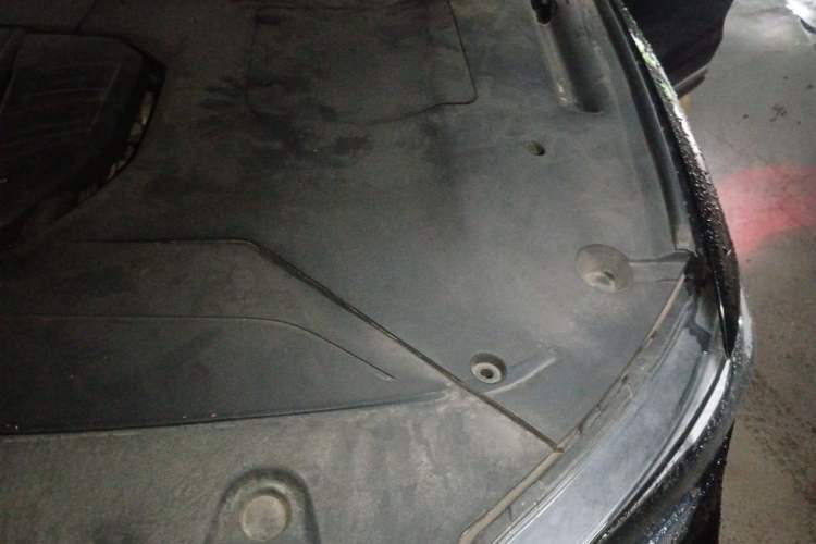 Used Hongqi HS5 2019 2.0T Smart Connect Flagship All-Wheel-Drive Version Engine Bay Left