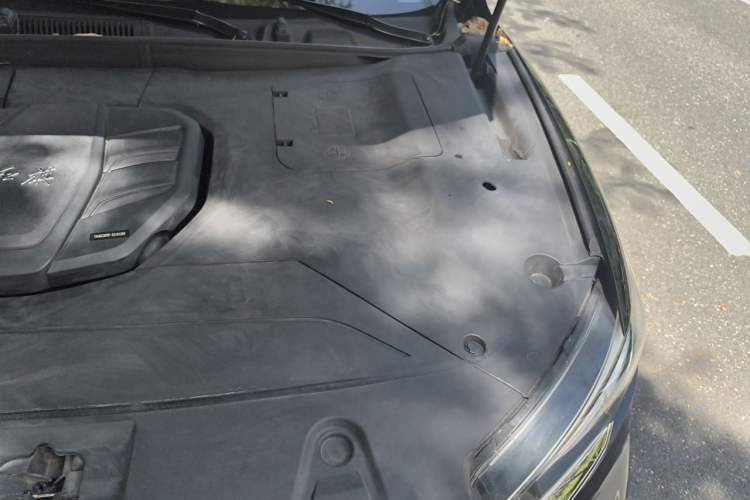Used Hongqi HS5 2019 2.0T Smart Connect Flagship Edition Engine Bay Left