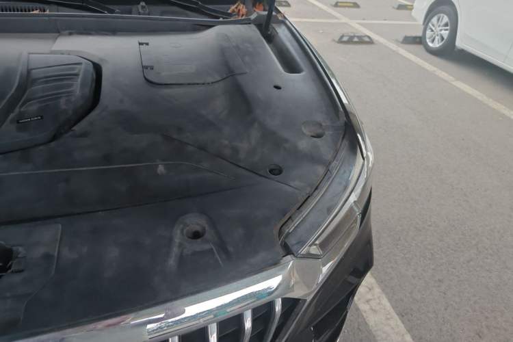 Used Hongqi HS5 2019 2.0T Smart Connect Flagship Edition Engine Bay Left