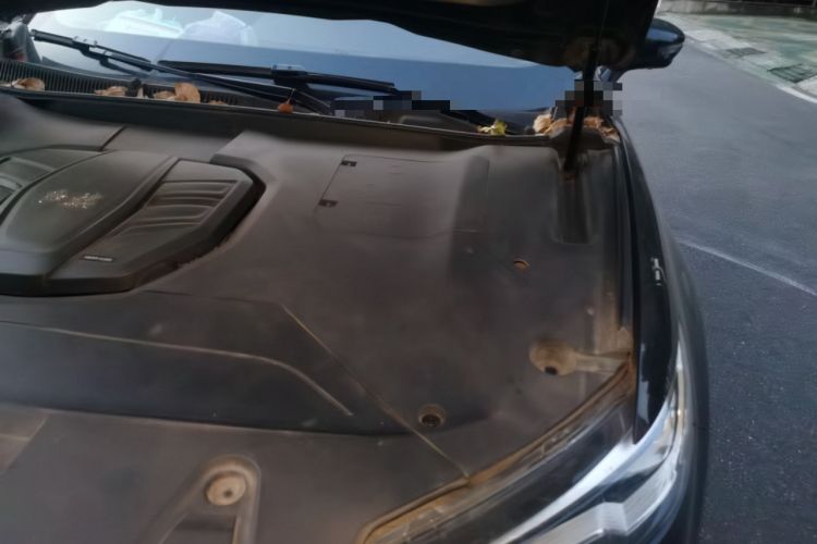 Used Hongqi HS5 2019 2.0T Smart Connect Flagship Edition Engine Bay Left