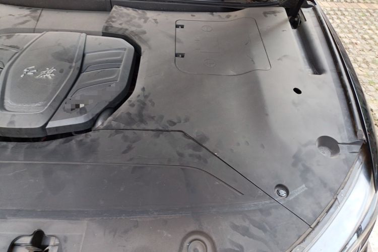 Used Hongqi HS5 2019 2.0T Smart Connect Flagship Edition Engine Bay Left