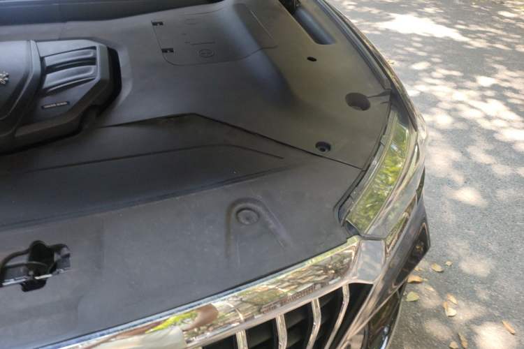 Used Hongqi HS5 2019 2.0T Smart Connect Flagship Edition Engine Bay Left