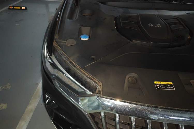 Used Hongqi HS5 2019 2.0T Smart Connect Flagship Edition Engine Bay Right