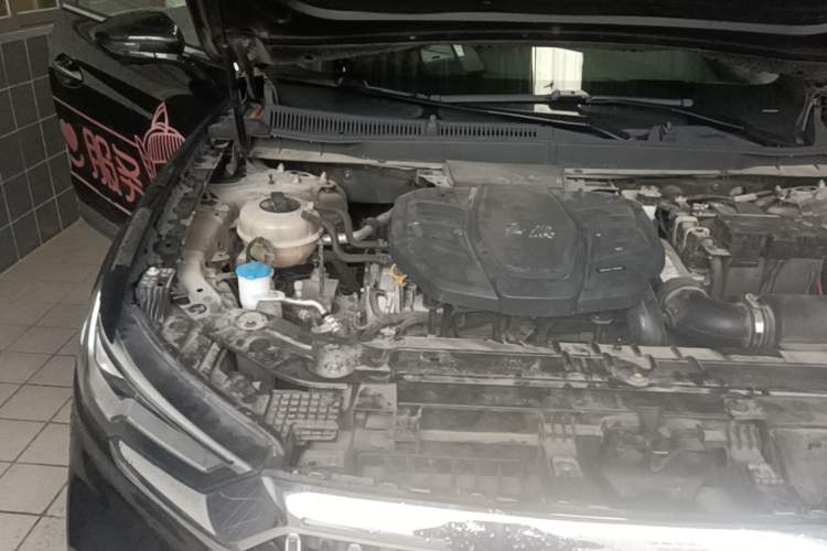 Used Hongqi HS5 2019 2.0T Smart Connect Flagship All-Wheel-Drive Version Engine Bay Right