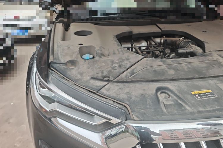 Used Hongqi HS5 2019 2.0T Smart Connect Flagship All-Wheel-Drive Version Engine Bay Right