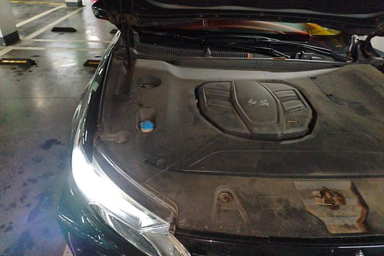Used Hongqi HS5 2019 2.0T Smart Connect Flagship All-Wheel-Drive Version Engine Bay Right