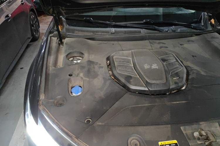 Used Hongqi HS5 2019 2.0T Smart Connect Flagship All-Wheel-Drive Version Engine Bay Right
