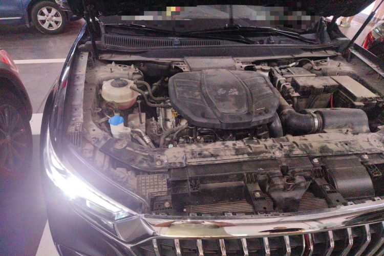 Used Hongqi HS5 2019 2.0T Smart Connect Flagship All-Wheel-Drive Version Engine Bay Right