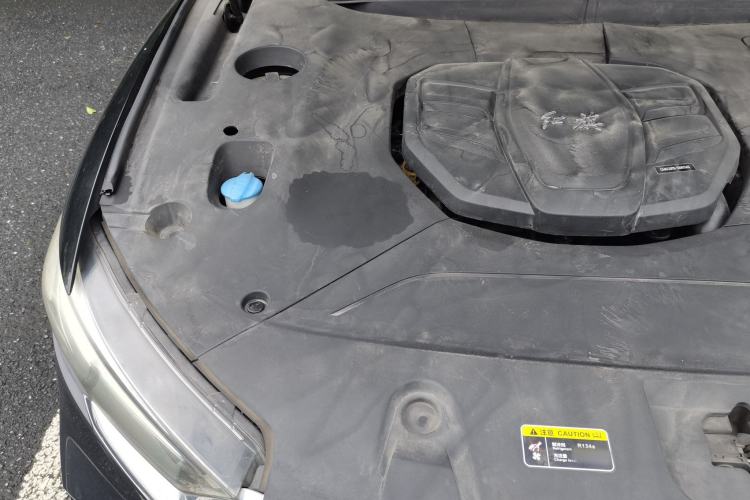 Used Hongqi HS5 2019 2.0T Smart Connect Flagship All-Wheel-Drive Version Engine Bay Right