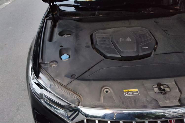 Used Hongqi HS5 2019 2.0T Smart Connect Flagship Edition Engine Bay Right