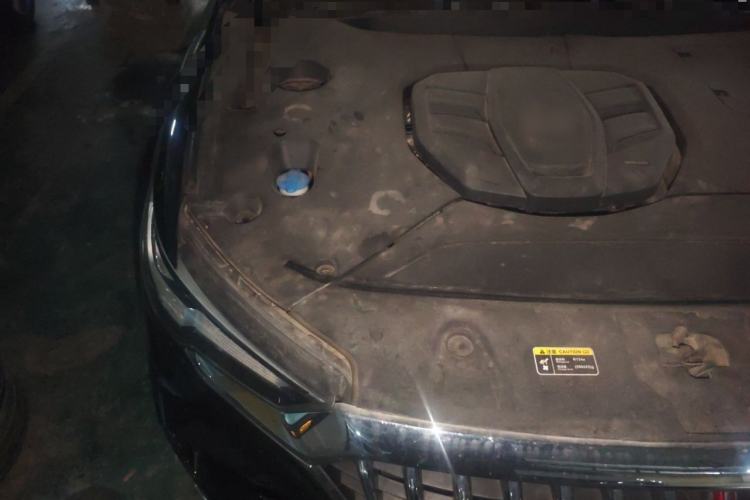 Used Hongqi HS5 2019 2.0T Smart Connect Flagship All-Wheel-Drive Version Engine Bay Right