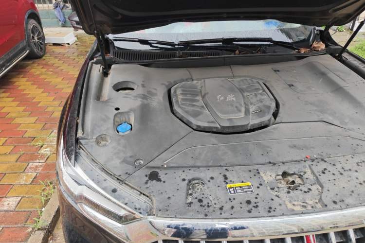 Used Hongqi HS5 2019 2.0T Smart Connect Flagship Edition Engine Bay Right