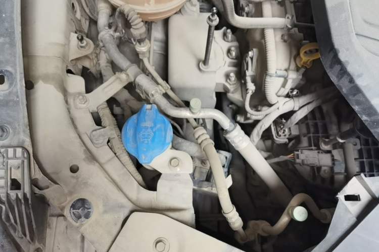Used Hongqi HS5 2019 2.0T Smart Connect Flagship All-Wheel-Drive Version Engine Bay Right
