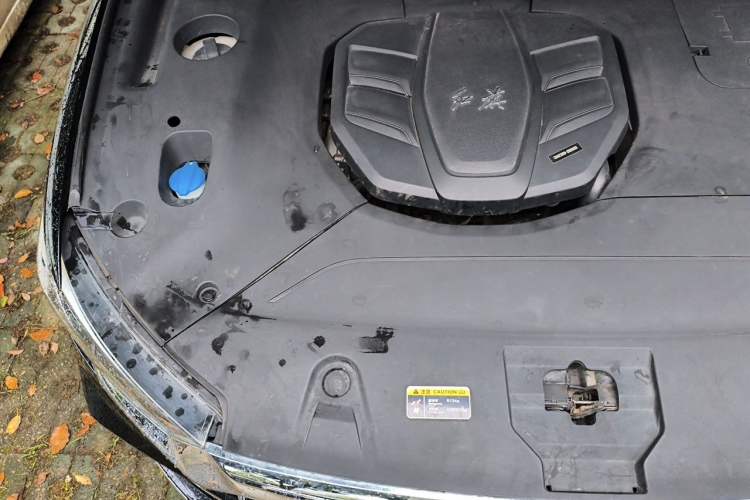 Used Hongqi HS5 2019 2.0T Smart Connect Flagship All-Wheel-Drive Version Engine Bay Right