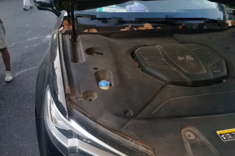 Used Hongqi HS5 2019 2.0T Smart Connect Flagship Edition Engine Bay Right
