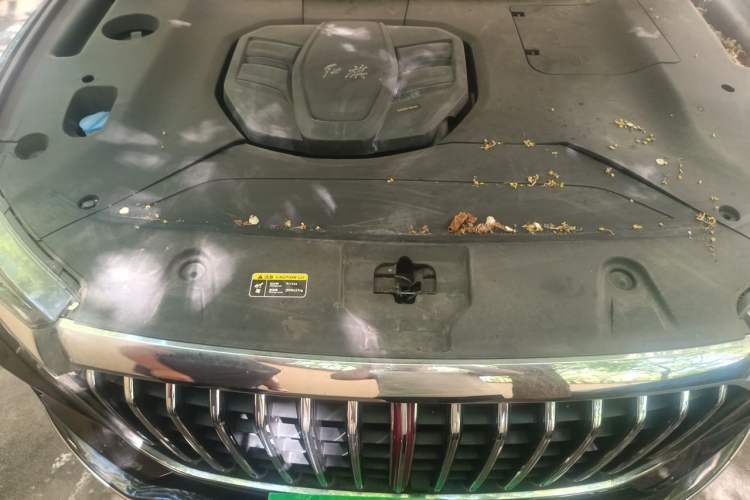 Used Hongqi HS5 2019 2.0T Smart Connect Flagship All-Wheel-Drive Version Engine Bay