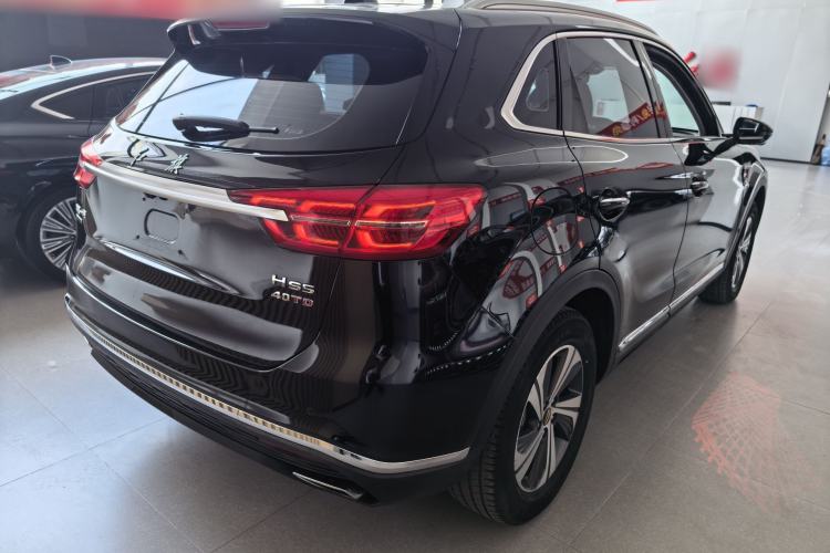 Used Hongqi HS5 2019 2.0T Smart Connect Flagship Edition Exterior 2