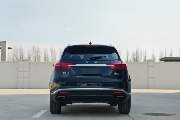Used Hongqi HS5 2019 2.0T Smart Connect Flagship Edition Exterior 4