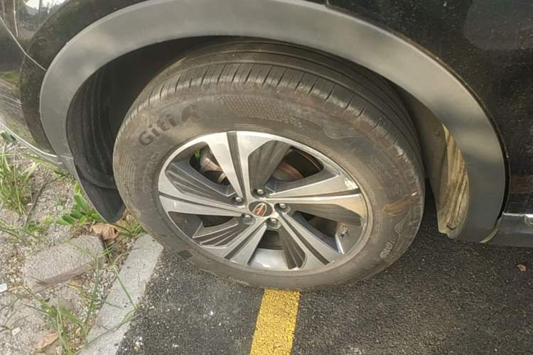Used Hongqi HS5 2019 2.0T Smart Connect Flagship Edition Exterior 5
