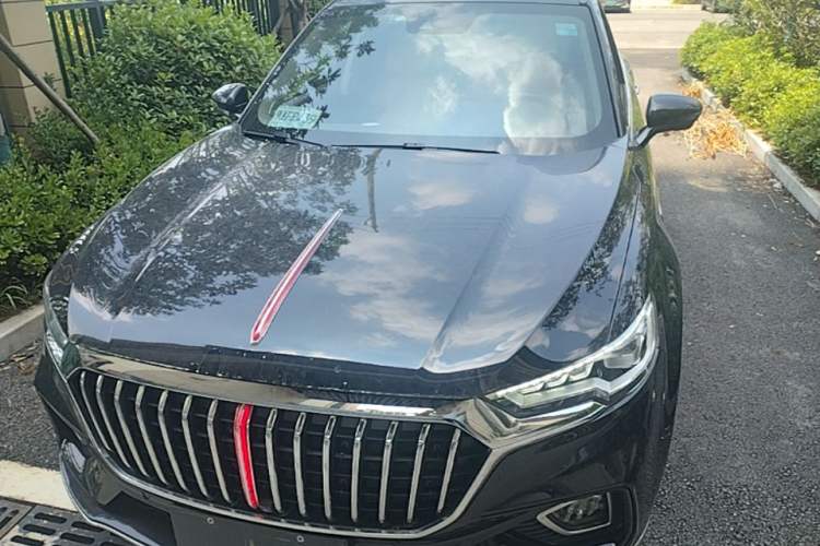 Used Hongqi HS5 2019 2.0T Smart Connect Flagship All-Wheel-Drive Version Front