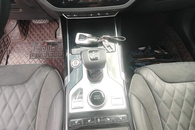 Used Hongqi HS5 2019 2.0T Smart Connect Flagship Edition Gear Lever