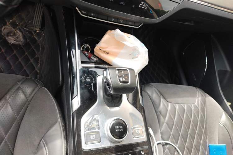 Used Hongqi HS5 2019 2.0T Smart Connect Flagship All-Wheel-Drive Version Gear Lever