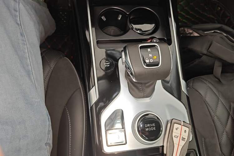 Used Hongqi HS5 2019 2.0T Smart Connect Flagship Edition Gear Lever