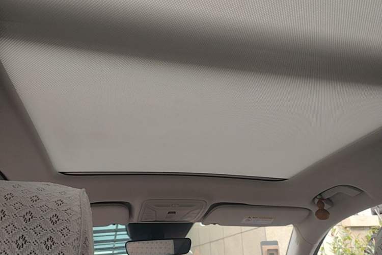 Used Hongqi HS5 2019 2.0T Smart Connect Flagship All-Wheel-Drive Version Headliner