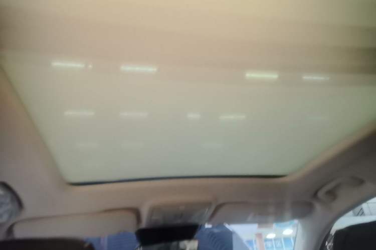 Used Hongqi HS5 2019 2.0T Smart Connect Flagship Edition Headliner