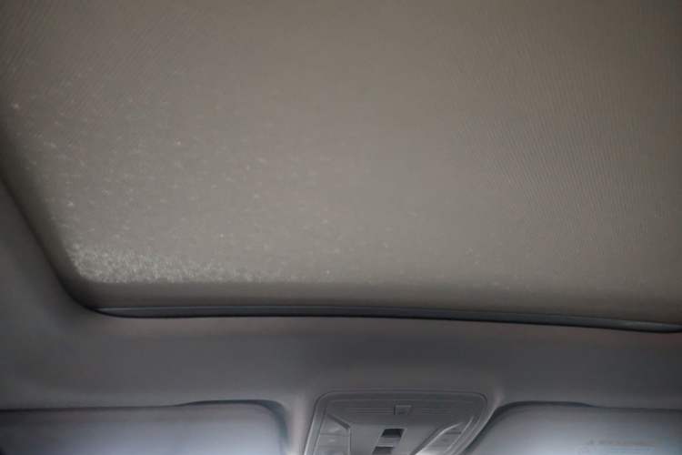 Used Hongqi HS5 2019 2.0T Smart Connect Flagship Edition Headliner