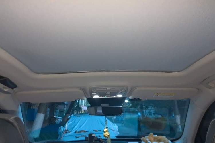 Used Hongqi HS5 2019 2.0T Smart Connect Flagship Edition Headliner