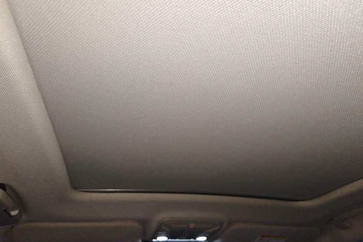 Used Hongqi HS5 2019 2.0T Smart Connect Flagship Edition Headliner