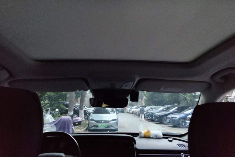 Used Hongqi HS5 2019 2.0T Smart Connect Flagship Edition Headliner
