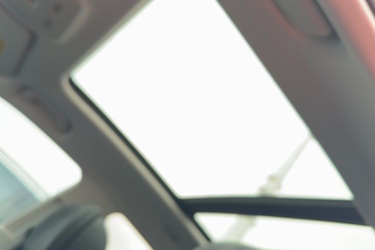 Used Hongqi HS5 2019 2.0T Smart Connect Flagship Edition Headliner