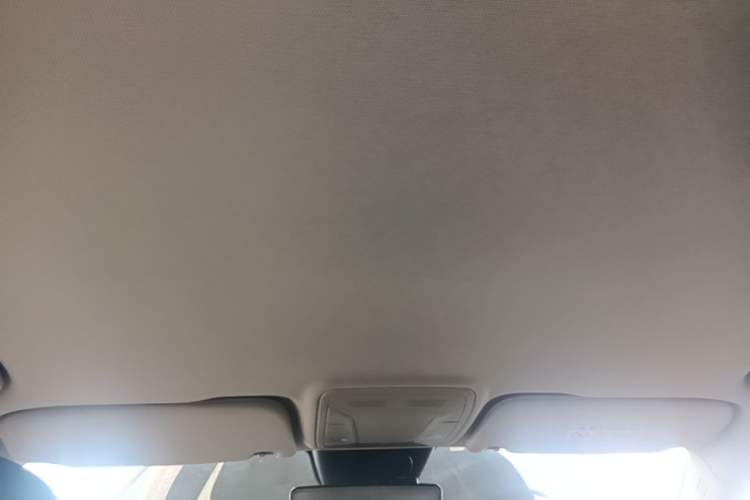 Used Hongqi HS5 2019 2.0T Smart Connect Flagship Edition Headliner