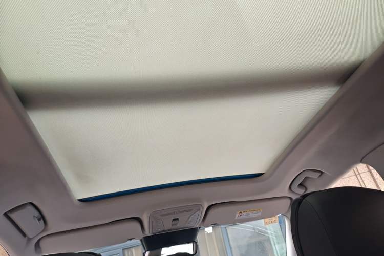 Used Hongqi HS5 2019 2.0T Smart Connect Flagship Edition Headliner