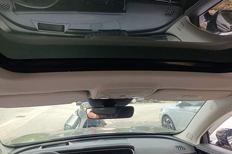 Used Hongqi HS5 2019 2.0T Smart Connect Flagship Edition Headliner