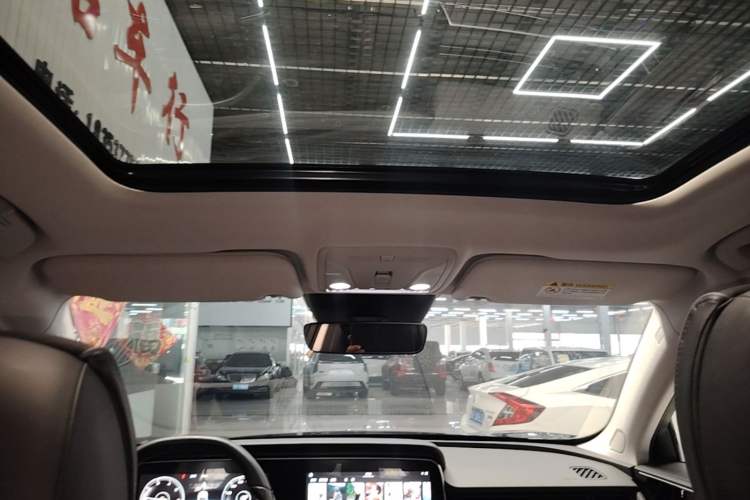 Used Hongqi HS5 2019 2.0T Smart Connect Flagship Edition Headliner