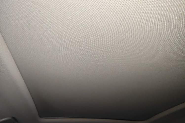 Used Hongqi HS5 2019 2.0T Smart Connect Flagship Edition Headliner